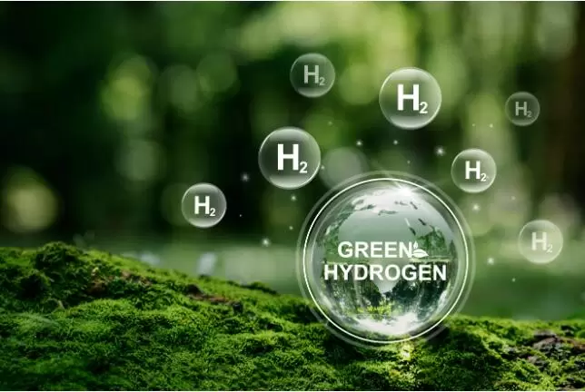 Economic Analysis of Green Hydrogen